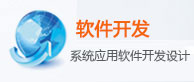 软件开发